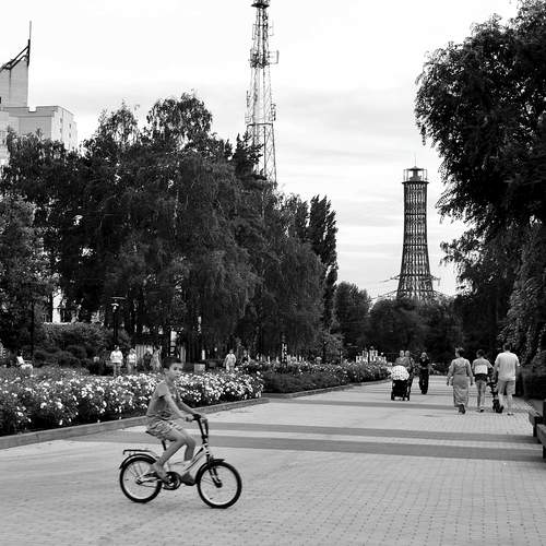 Photo #13735622