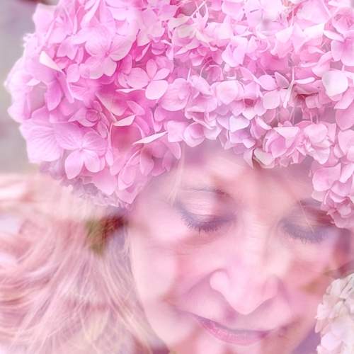 Photo #13735626