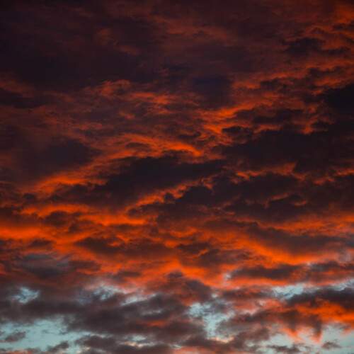 Photo #13735680