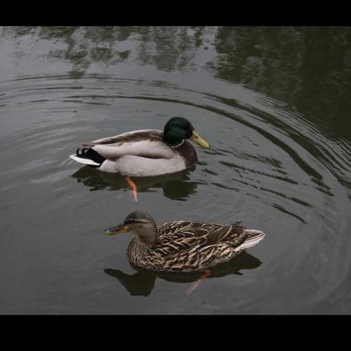Photo #13735778