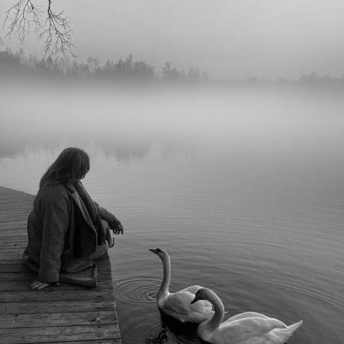 Photo #13735802