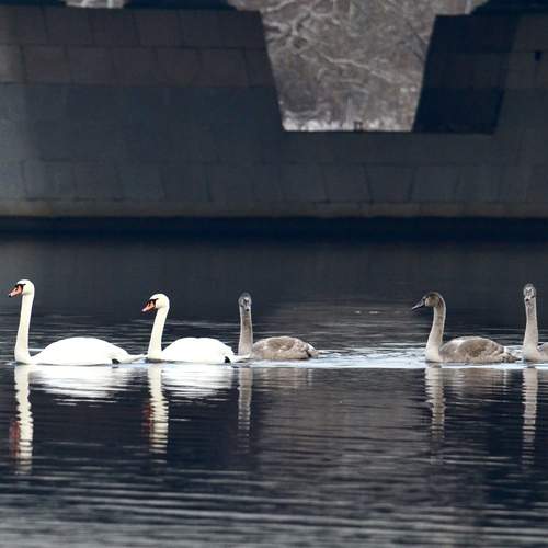 Photo #13735814