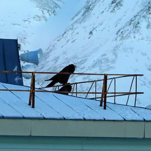Photo #13735834