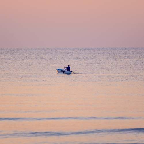 Photo #13735868