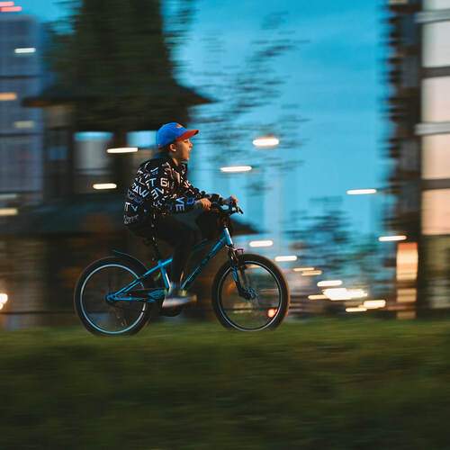 Photo #13735895