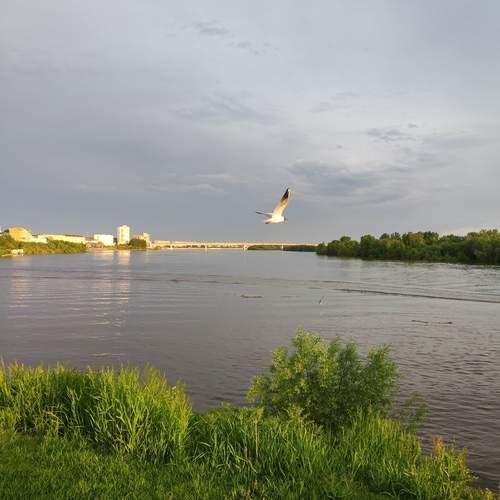Photo #13735938