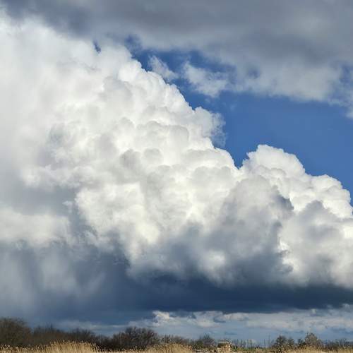 Photo #13735967