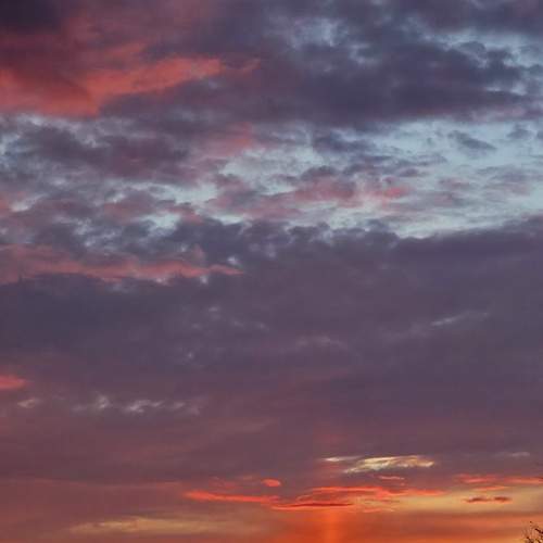 Photo #13735968