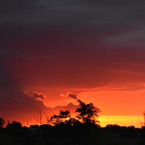 Photo #13735969