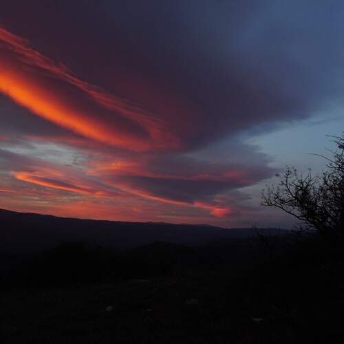 Photo #13735970