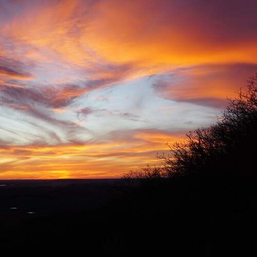 Photo #13735975
