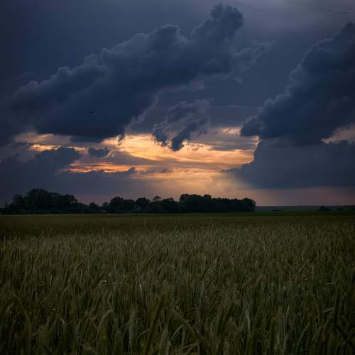 Photo #13735979