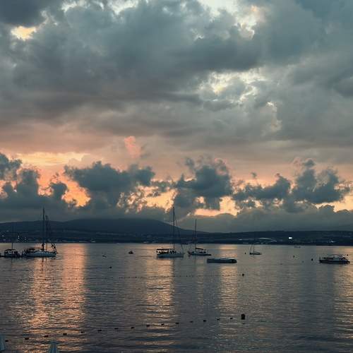 Photo #13735997