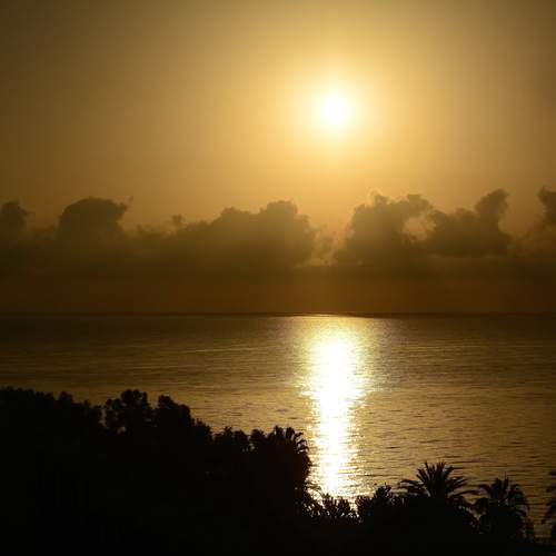 Photo #13736004