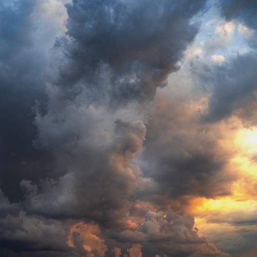 Photo #13736006
