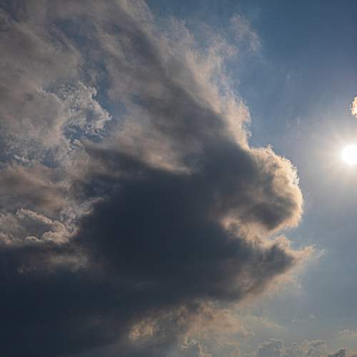 Photo #13736007