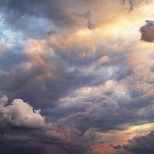 Photo #13736008
