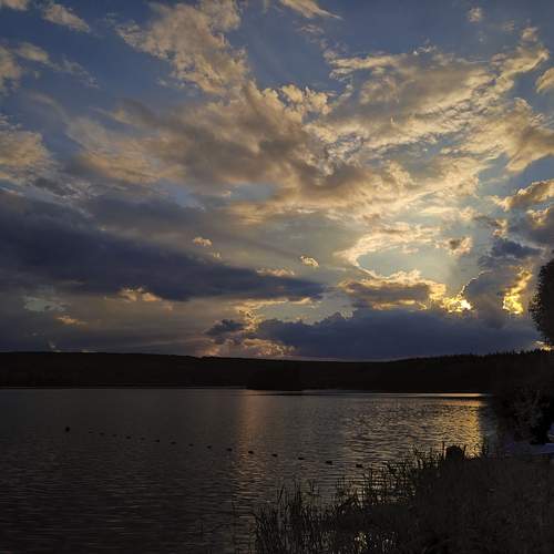 Photo #13736009
