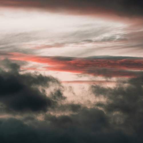 Photo #13736016