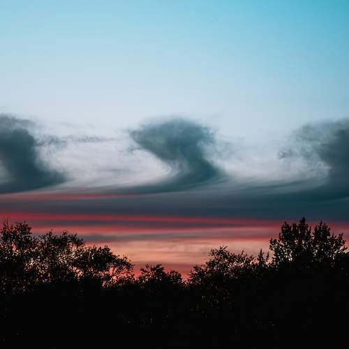 Photo #13736018