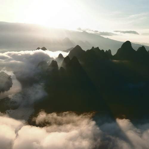Photo #13736022