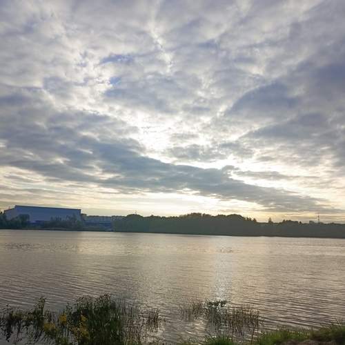 Photo #13736029