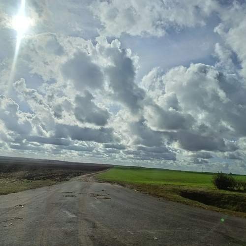 Photo #13736030