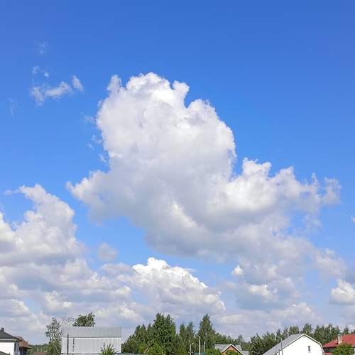Photo #13736032