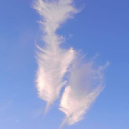 Photo #13736035