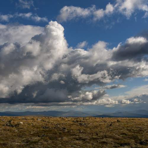 Photo #13736052