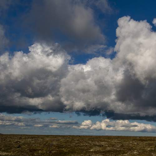 Photo #13736053