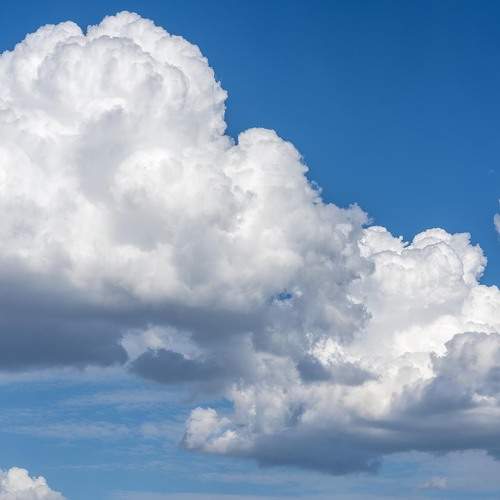 Photo #13736073