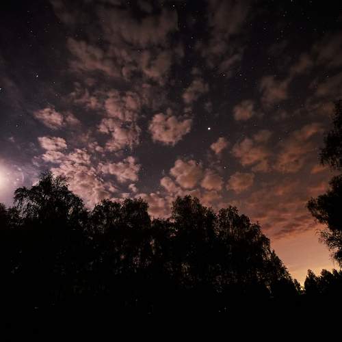 Photo #13736089