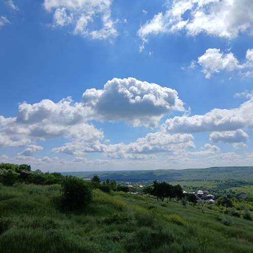 Photo #13736114