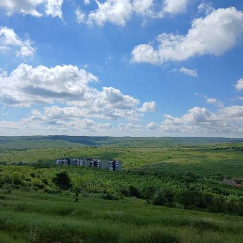 Photo #13736115
