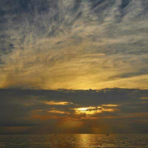 Photo #13736118
