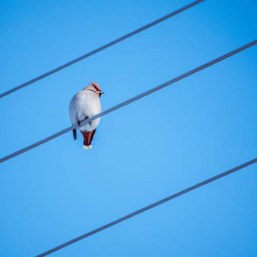 Photo #13736121