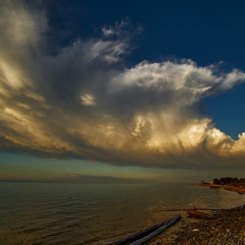 Photo #13736130