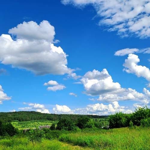 Photo #13736132