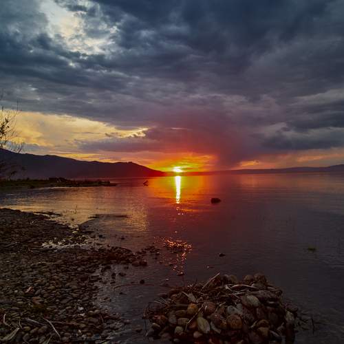 Photo #13736133