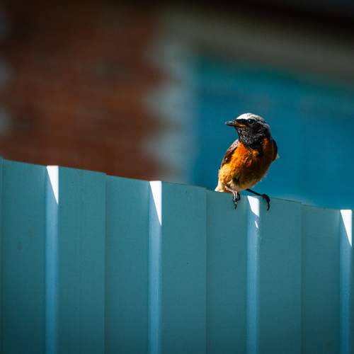 Photo #13736135