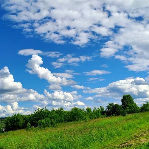 Photo #13736137