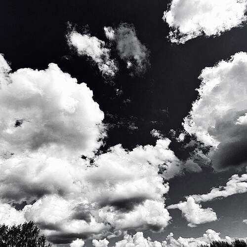 Photo #13736144