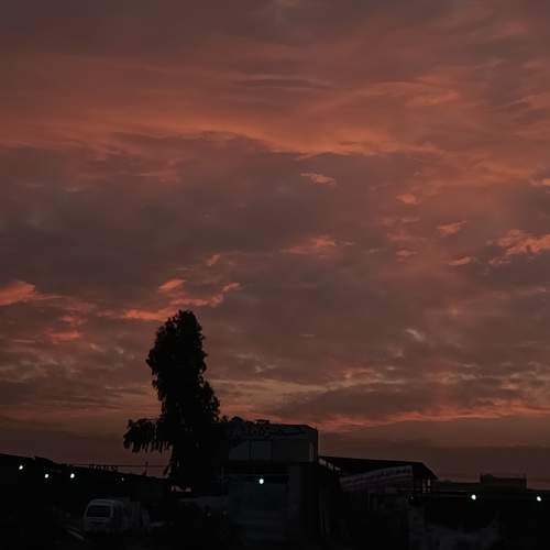 Photo #13736149