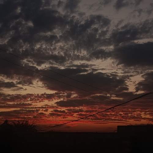 Photo #13736150