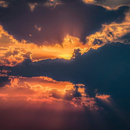Photo #13736159
