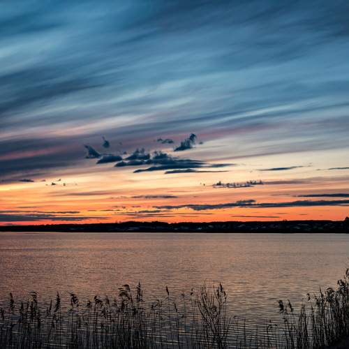 Photo #13736166