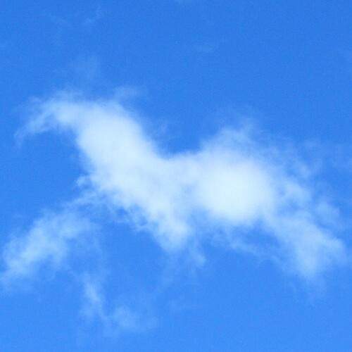 Photo #13736172