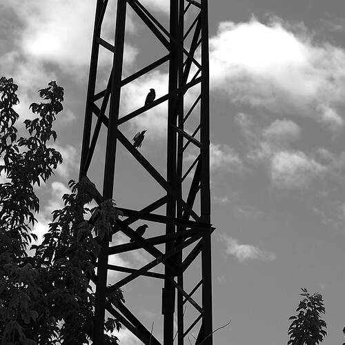 Photo #13736176