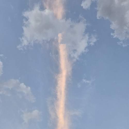 Photo #13736179